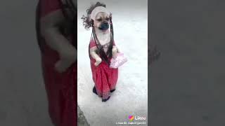 . Cczzzzz. Cx Ññabahbbx,X,Xzßzz Cczzzzz Xn,, Zx Nb Zx Dsdz Zaz Dd