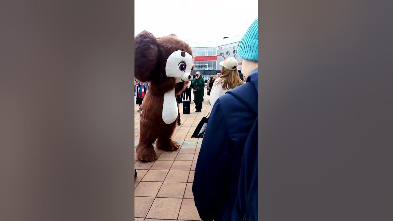 чебурашка в школе поздравляет мою одноклассницу #чебурашка - YouTube