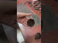 Choclet garnish 🙌✨#trending #viral #shortvideo #love #cake #yutube #cute #garnish #trendingvideo
