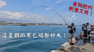 20240323~24花蓮港東堤釣遊這星期黑巴鯧都好大!看磯釣友搏魚超爽!拉不起來的也哀哀叫!^^Taiwan Hualien fishing