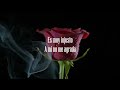 La Fiera De Ojinaga Y Lo Que Yo Siento Lyric Video La Fiera De Ojinaga Y Lo Que Yo Siento Lyric Video