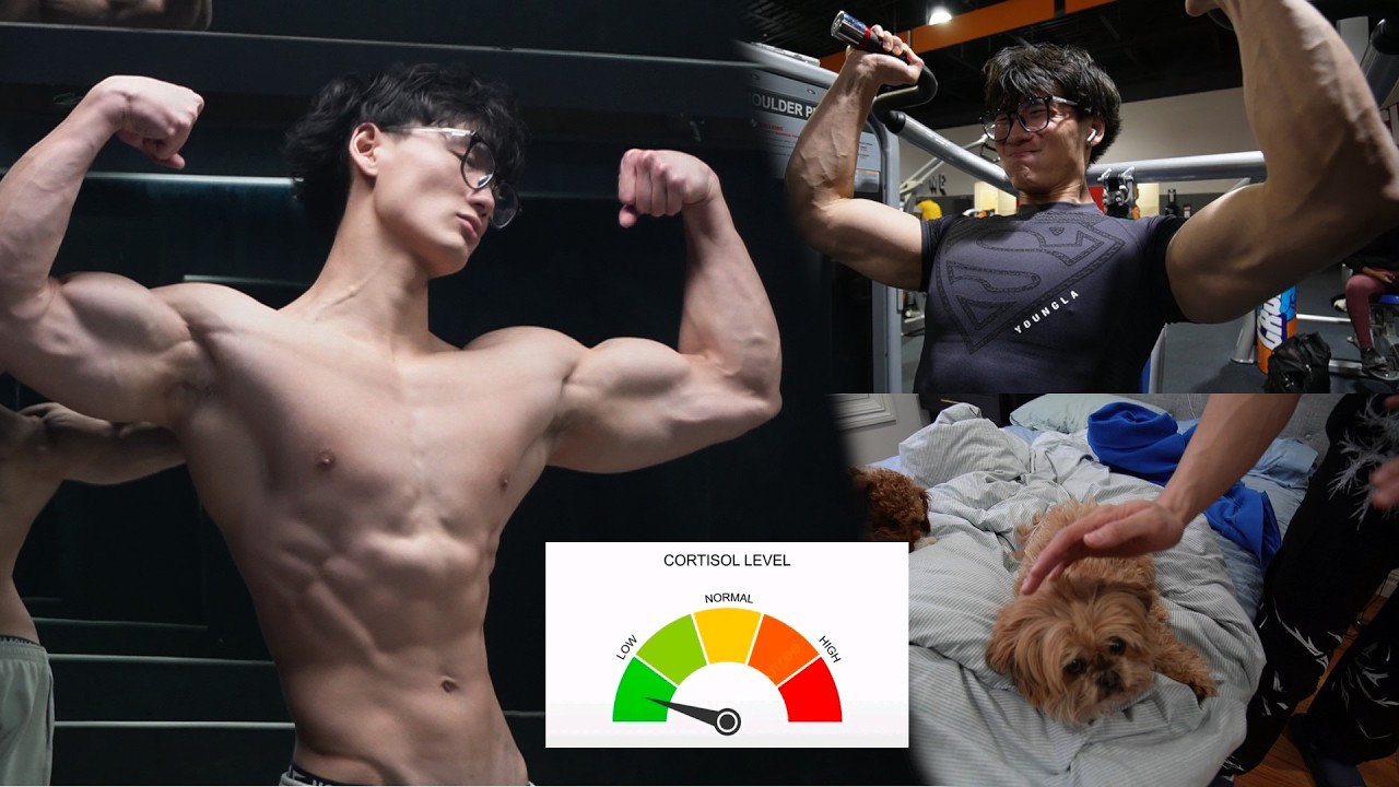 Low Cortisol PUSH DAY (secret dog method)