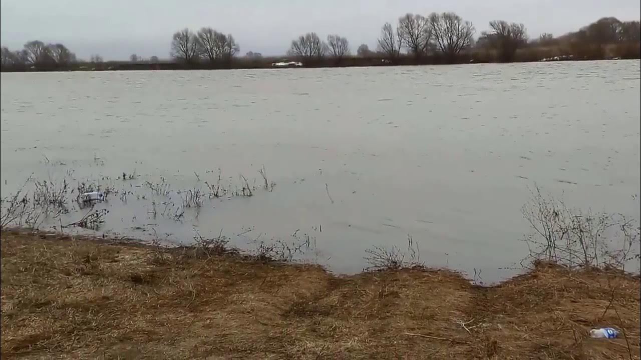 Гидропост горбатов на оке сегодня уровень воды