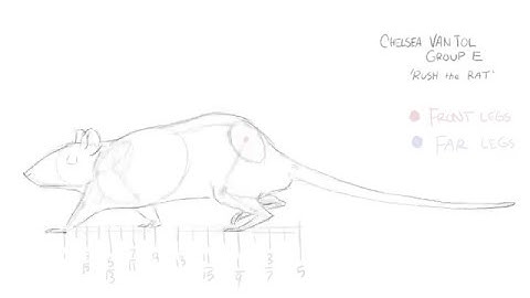 Sheridan Animation Assignment - Rat Walk Cycle and Pan