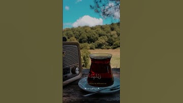 ومن الناس من يعجبك قوله في الحياة الدنيا | سورة البقرة | محمد صديق المنشاوي