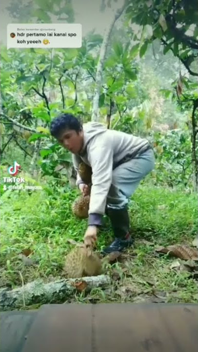 ketahuan ambil durian #komedilucu #komedi #vidiolucu #vidioviral #lawakminang