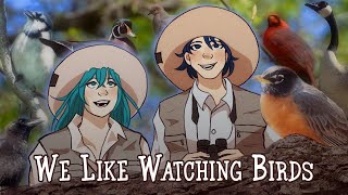 We Like Watching Birds
