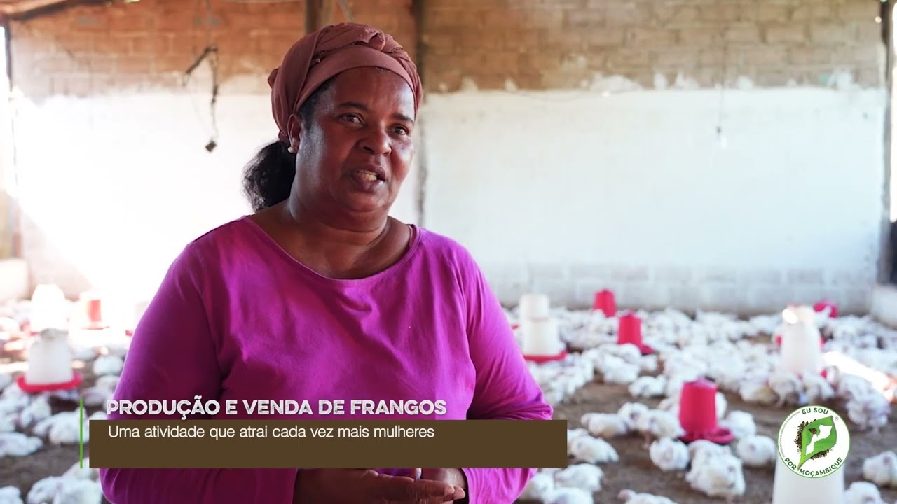 PRODUÇÃO E VENDA DE FRANGOS: Uma atividade que atraí cada vez mais mulheres / Eu Sou Empreendedora