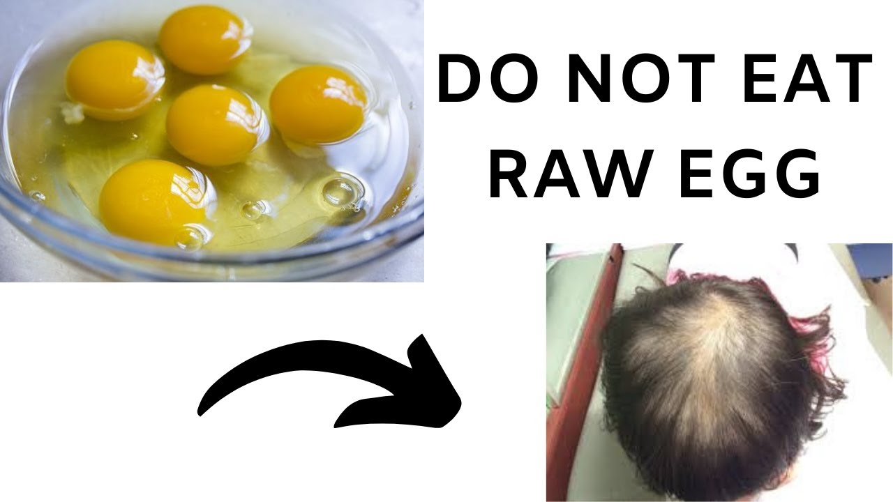 can dogs get salmonella from eating raw eggs