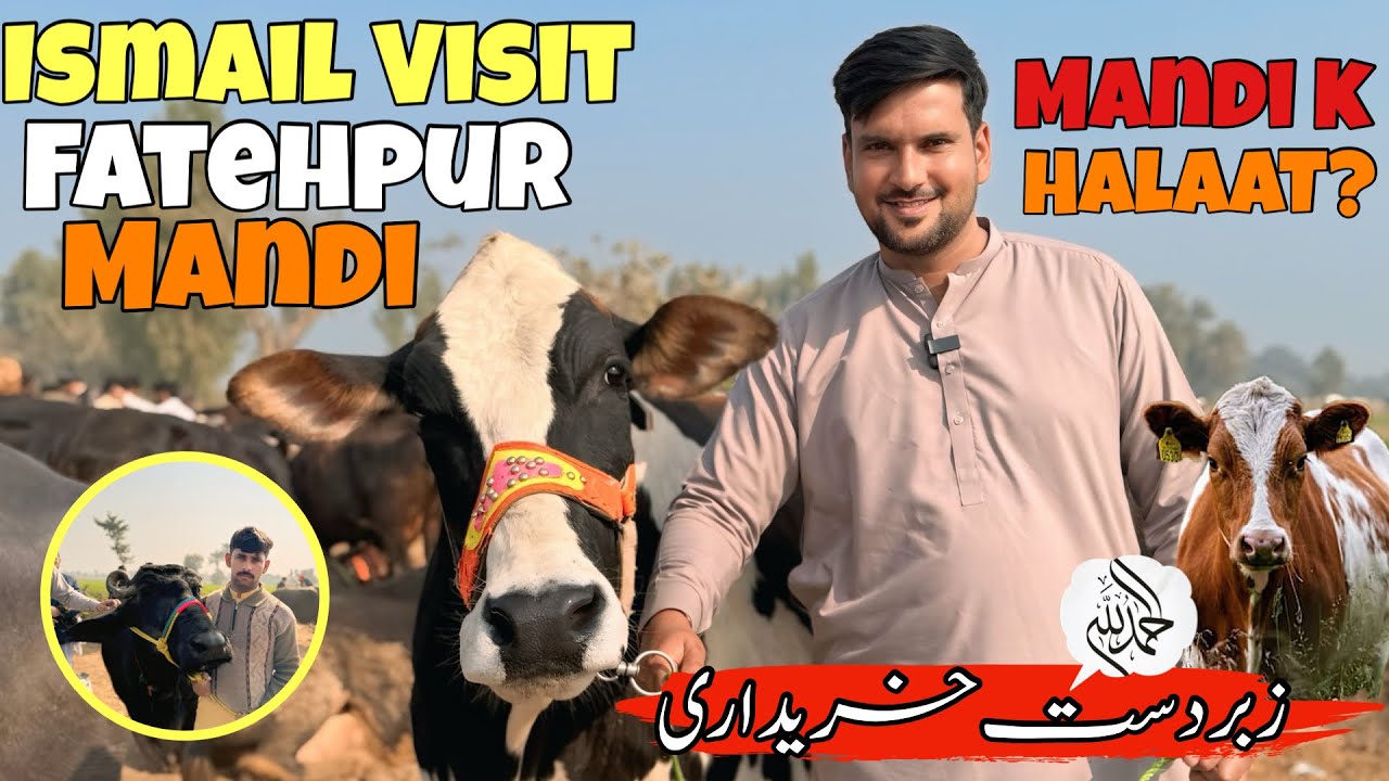Ismail Jutt Visit Fatehpur Mandi
