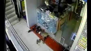 Monkey steals cash from a jewellery store in Andhra Pradesh- Part 2 by Nidhi C 699 views 7 years ago 14 seconds