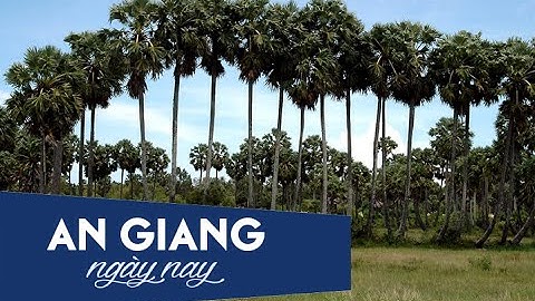 Ồ ạt bán cây thốt nốt tại An Giang