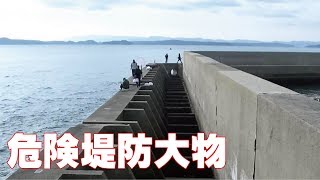 危険な波止の釣りでこれぞ青物サワラがやってきた(269話目)