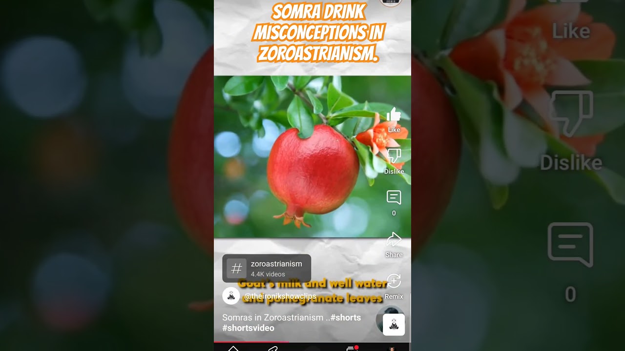 #zoroastrianism Somra Drink 🍸 Misconceptions. #zoroastrian