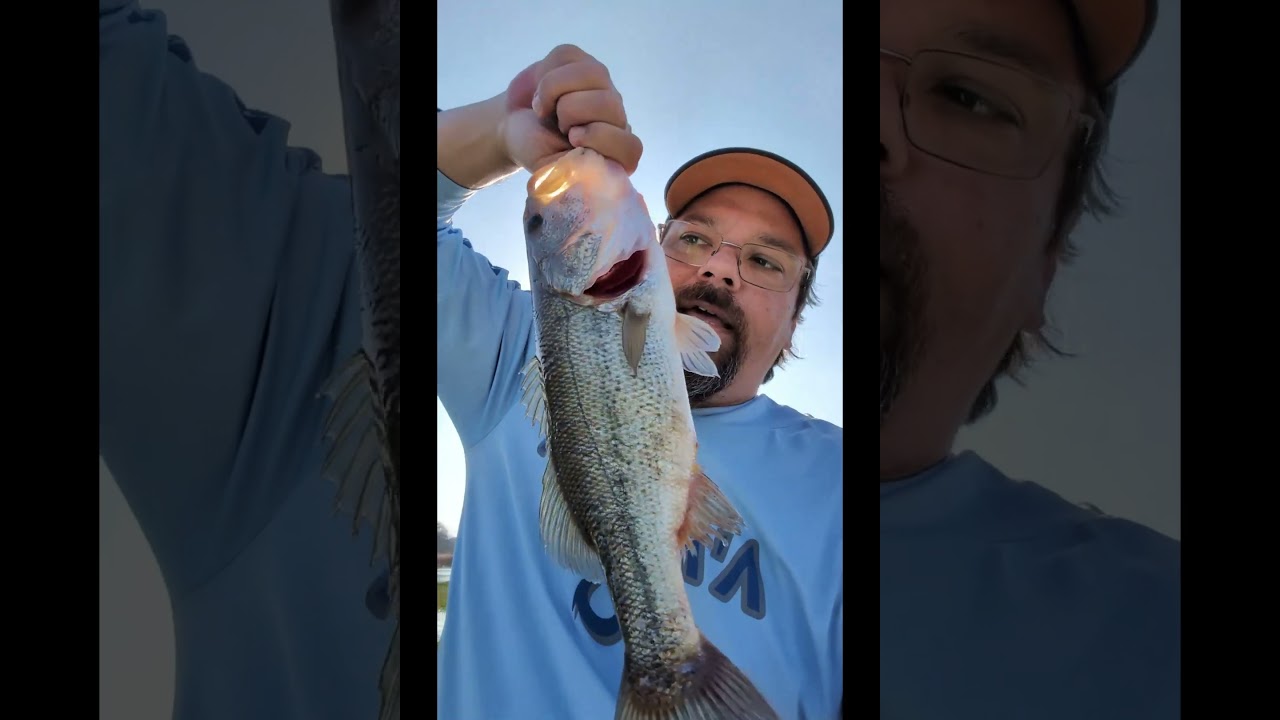 A good chatterbait is a pond hopping essential 