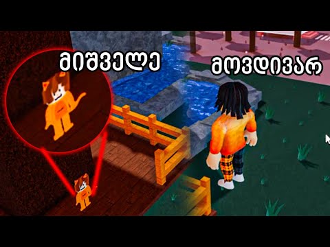 ბეკონი კატა გადავარჩინე Find The Bacons roblox ubralod noobi