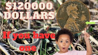 1959-D Lincoln Cent: Rare Errors, Hidden Value, and Full Price Guide