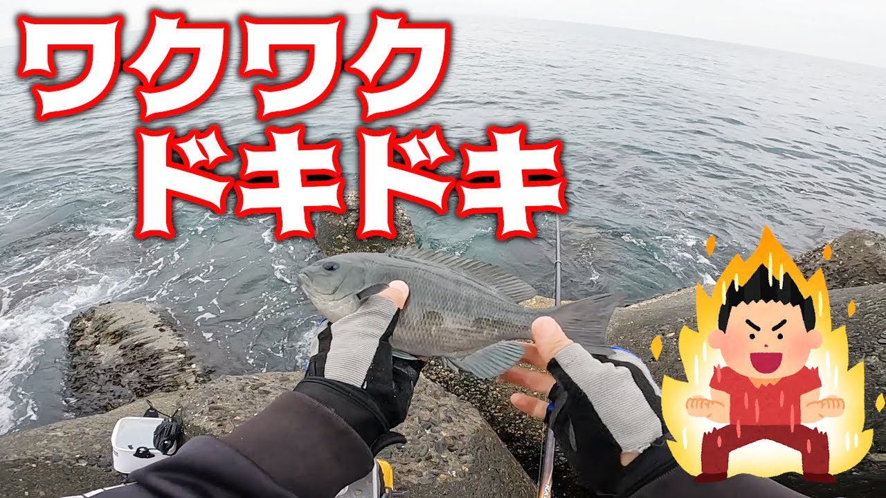 【黒鯛釣り】駿河湾のテトラから短時間のフカセ釣り【グレ釣り】【釣武者】