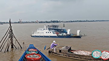 Nước rút , trúng luồng cá khủng hơn 500 kg trên sông tiền, cuộc sống mưu sinh của bà con