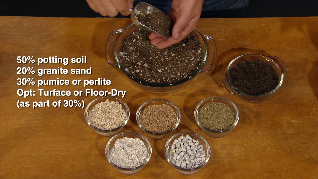 How To Make Your Own Cactus Soil 