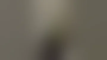 بانو مهراوه شریفی نیا 