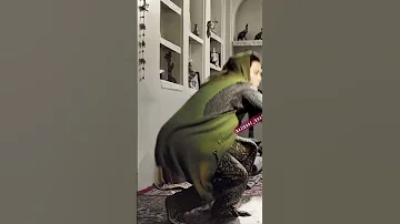 بانو مهراوه شریفی نیا 