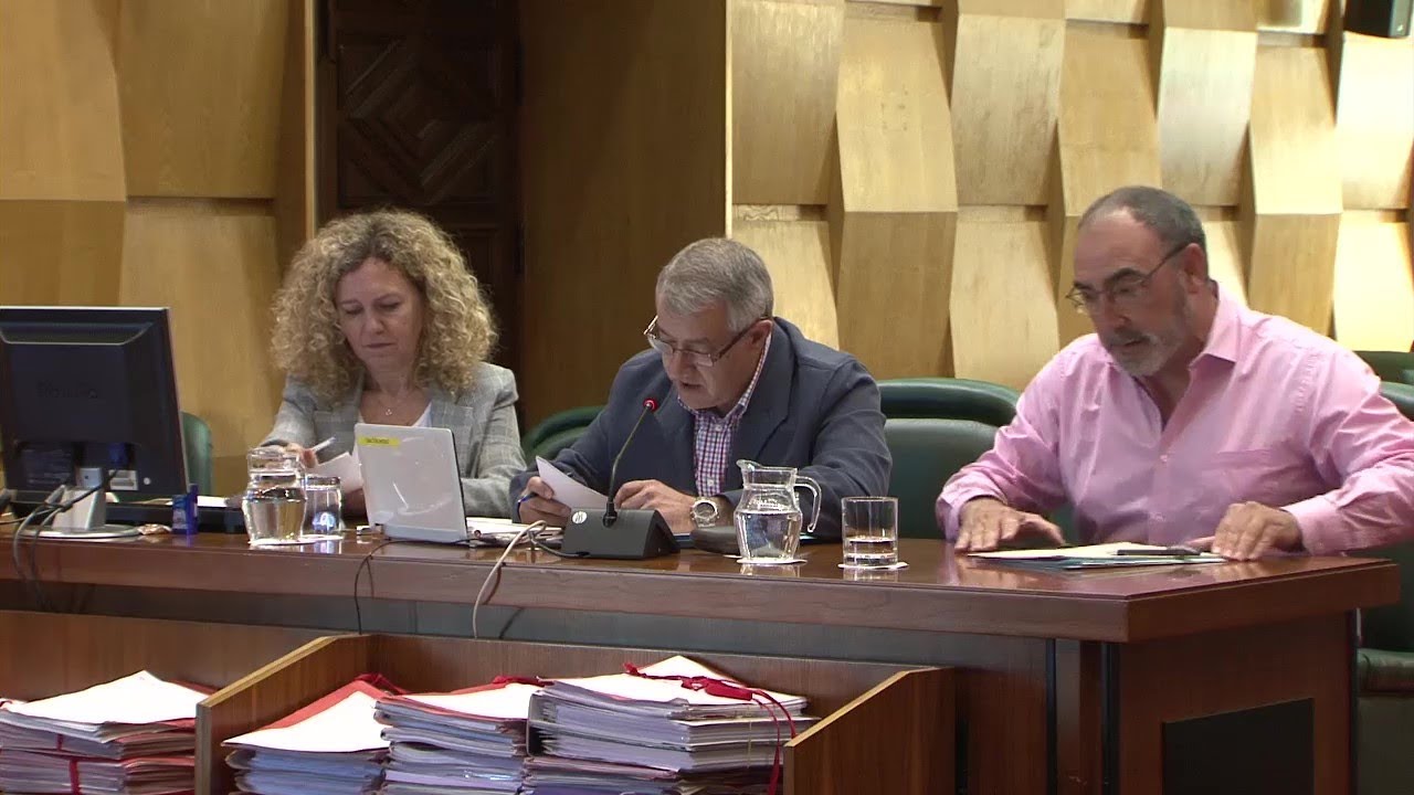15 de junio de 2018. Comisión ordinaria de Economía y Cultura del Ayuntamiento de Zaragoza. servicios al contribuyente