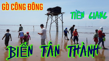 BIỂN TÂN THÀNH - GÒ CÔNG ĐÔNG,TIỀN GIANG . GẶP CHỊ MÓC HÀU SỮA TRÊN TRỤ CẦU TÀU | Saigon News.