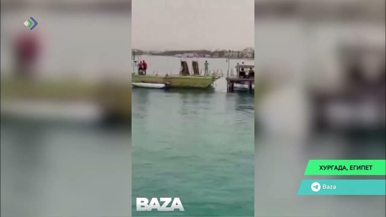 Акулы в египте 2023 год. Нападение акулы в египте в 2023. Нападение акулы в египте в 2023. Акула напала на человека в египте 2023. Защитные сетки от акул в египте.