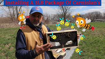 HOW TO INSTALL A NEW PACKAGE OF BEES ( APRIL 2020 ) #beekeeping101 #beekeeping