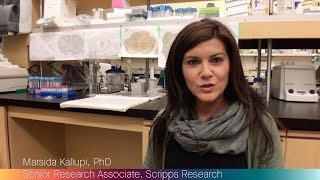 Scientists test enzyme against nicotine addiction