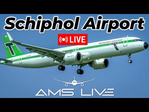 LIVE: Schiphol Arrivals | Kaagbaan RWY 06: B747s, A380 & Transavia Retro A321neo | Aug 24, 2025