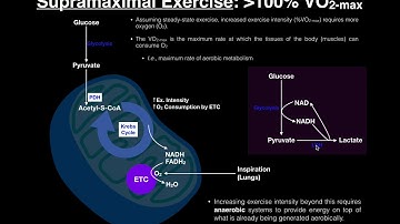 Exercise Physiology | What is Supramaximal Exercise?