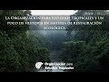 La Organización para Estudios Tropicales y un poco de historia en materia de restauración ecológica