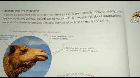 16 July class 4 science chapter 5 topic Animals that live in deserts by lakshmi yadav