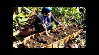 Tatanen di Bale Atikan (TDBA)