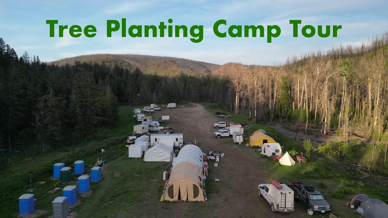 Tree Planting Camp Tree Planting Bush Camp Tour | British Columbia & Alberta - YouTube