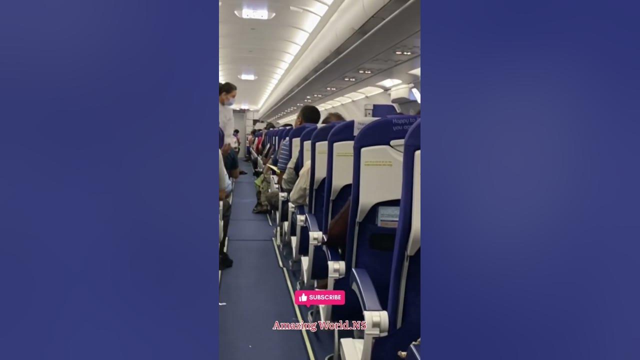 popular-economy-class-indigo-airbus-a321-inside-seats-youtube