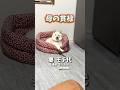 幸せの最終形妻 モチ代(通称 モッチー)の場合 #豆柴