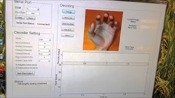 neural signal decoding