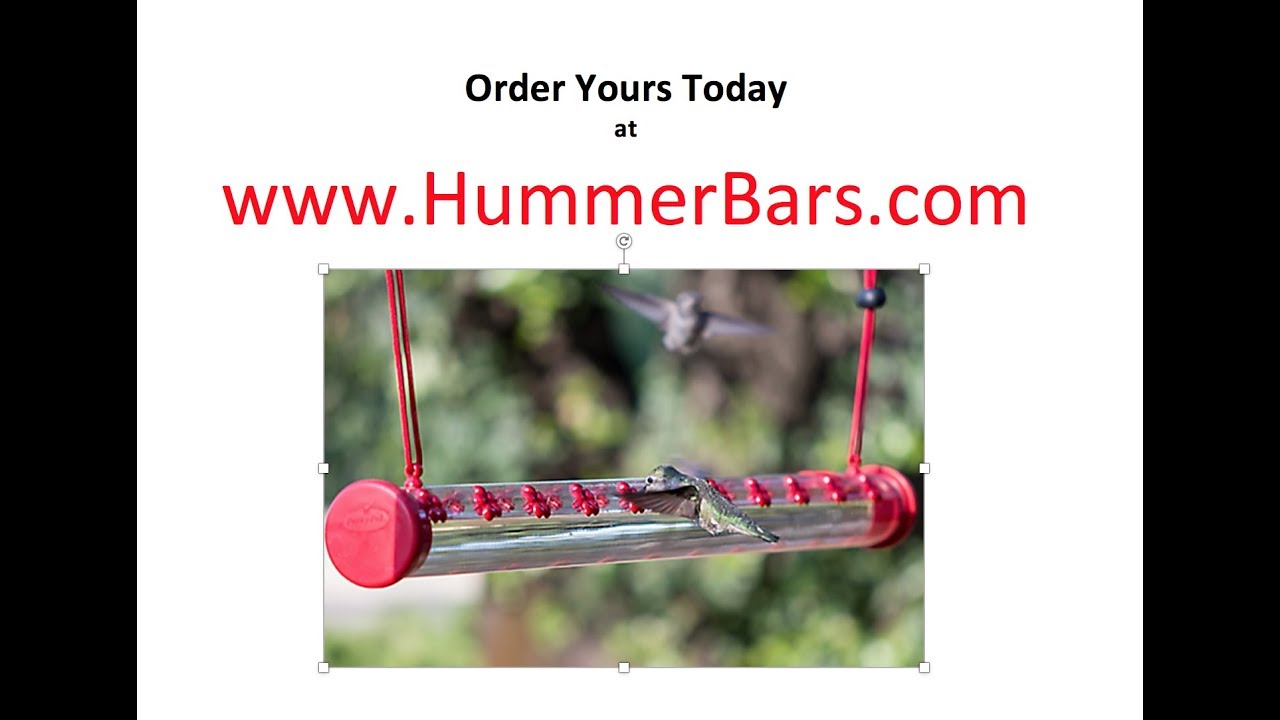HummerBar® Hummingbird Feeder Instruction Video YouTube