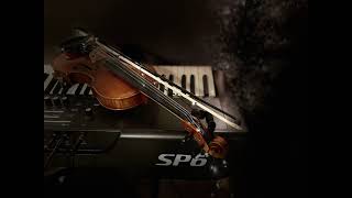 Famous Nothing Else - Violin cover by David Pak Wealth