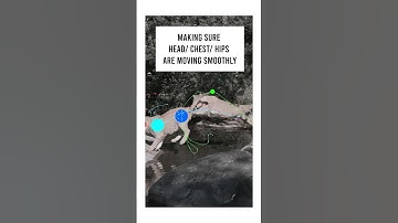 animating quadrupeds part 2 !  #animation #vfx #animals #3danimation