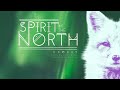 Spirit of the North: Exodus (Ambient) Cover by Avarwen and Jake Bloor