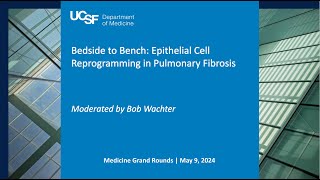 Bedside to Bench: Epithelial Cell Reprogramming in Pulmonary Fibrosis