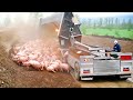 Farmers use farming machines youve never seen  incredible ingenious agriculture inventions 3
