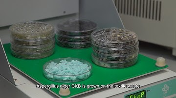 Textile Waste Recycling Using a Biological Method