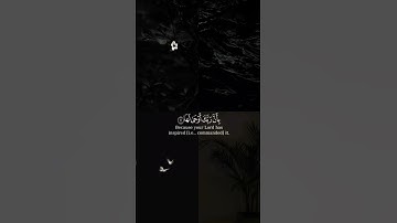سورة الزلزلة #اسلام_صبحي #سورة_الزلزلة #اسلام_صبحي #اللهم_صل_على_محمد #قران_كريم #لا_إله_إلا_اله