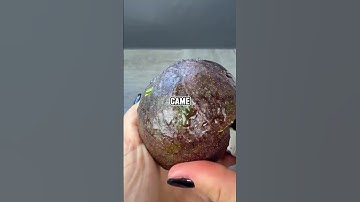 The Twist No One SawComing! #redditstories #satisfying