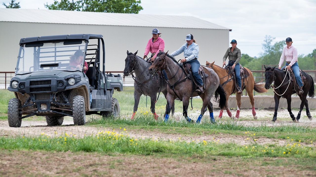 Как приучить лошадь к квадроциклам, часть первая.